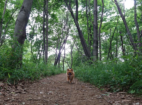 草むらなどは要注意…②