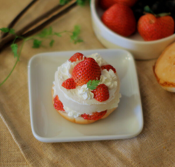 Today’s Recipe／パンを使った犬の手作りケーキ