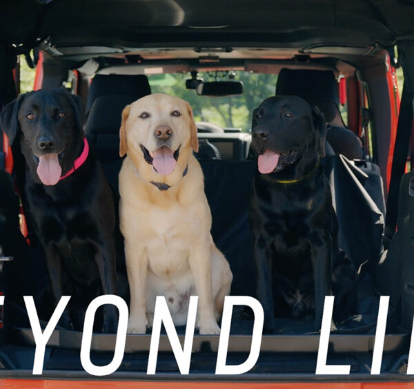 前編：BEYOND LINE誕生ストーリー  |  信頼から生まれた犬用首輪・リード開発の原点