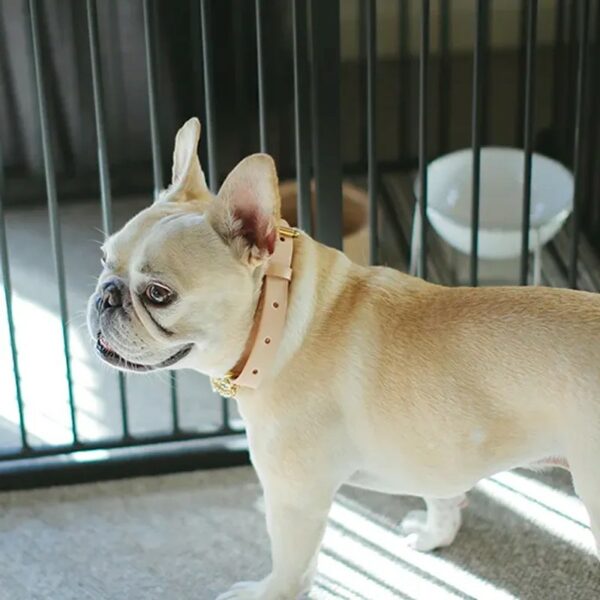 ＜ 販売一時停止のお知らせ ＞