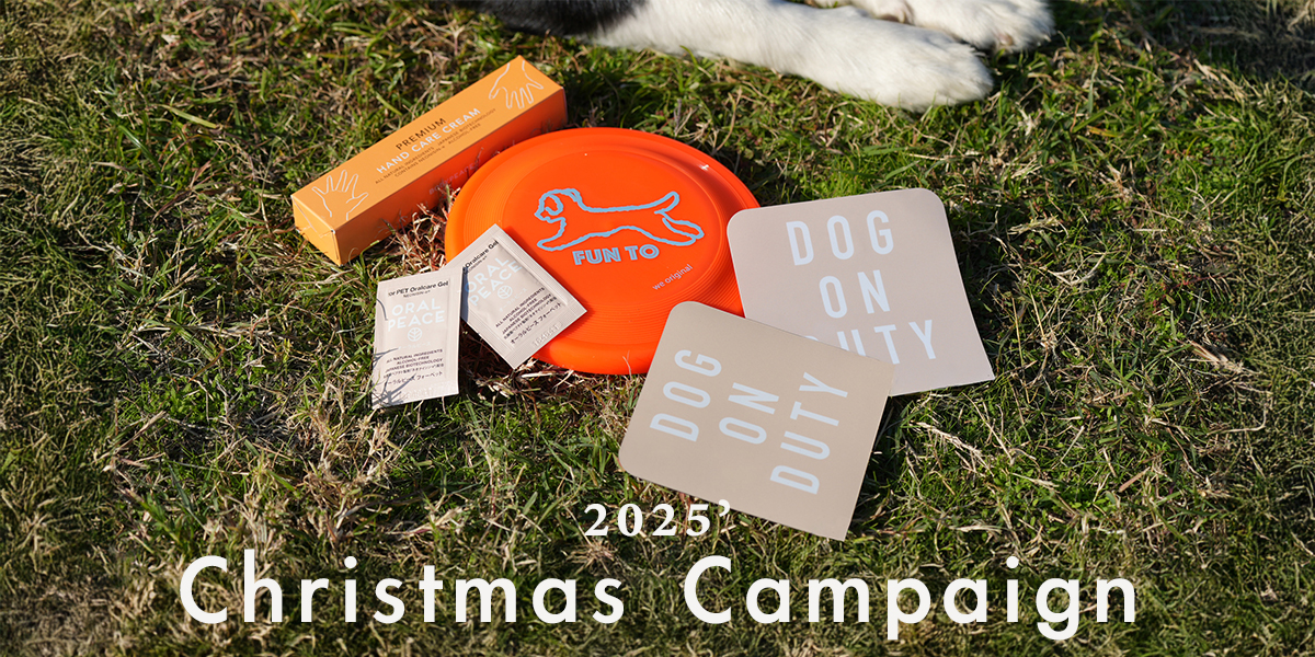 X'mas campaign