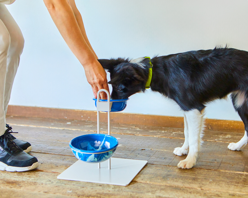 ���ѥ��᡼��2