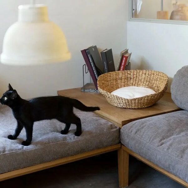 「やさしい居場所」をプレゼント。