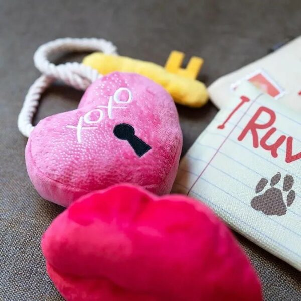 チョコの代わりに「大好き」を！愛犬と楽しむバレンタインの過ごし方