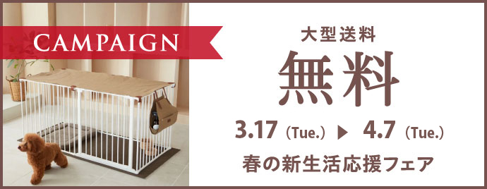 �緿��������̵�������ڡ���