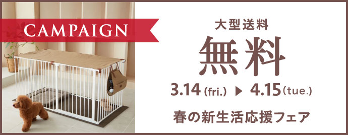 �緿��������̵�������ڡ���