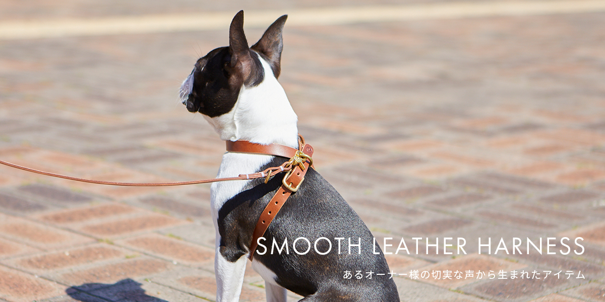SMOOTH LEATHER HARNESS
