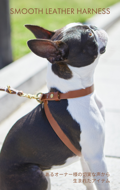 SMOOTH LEATHER HARNESS